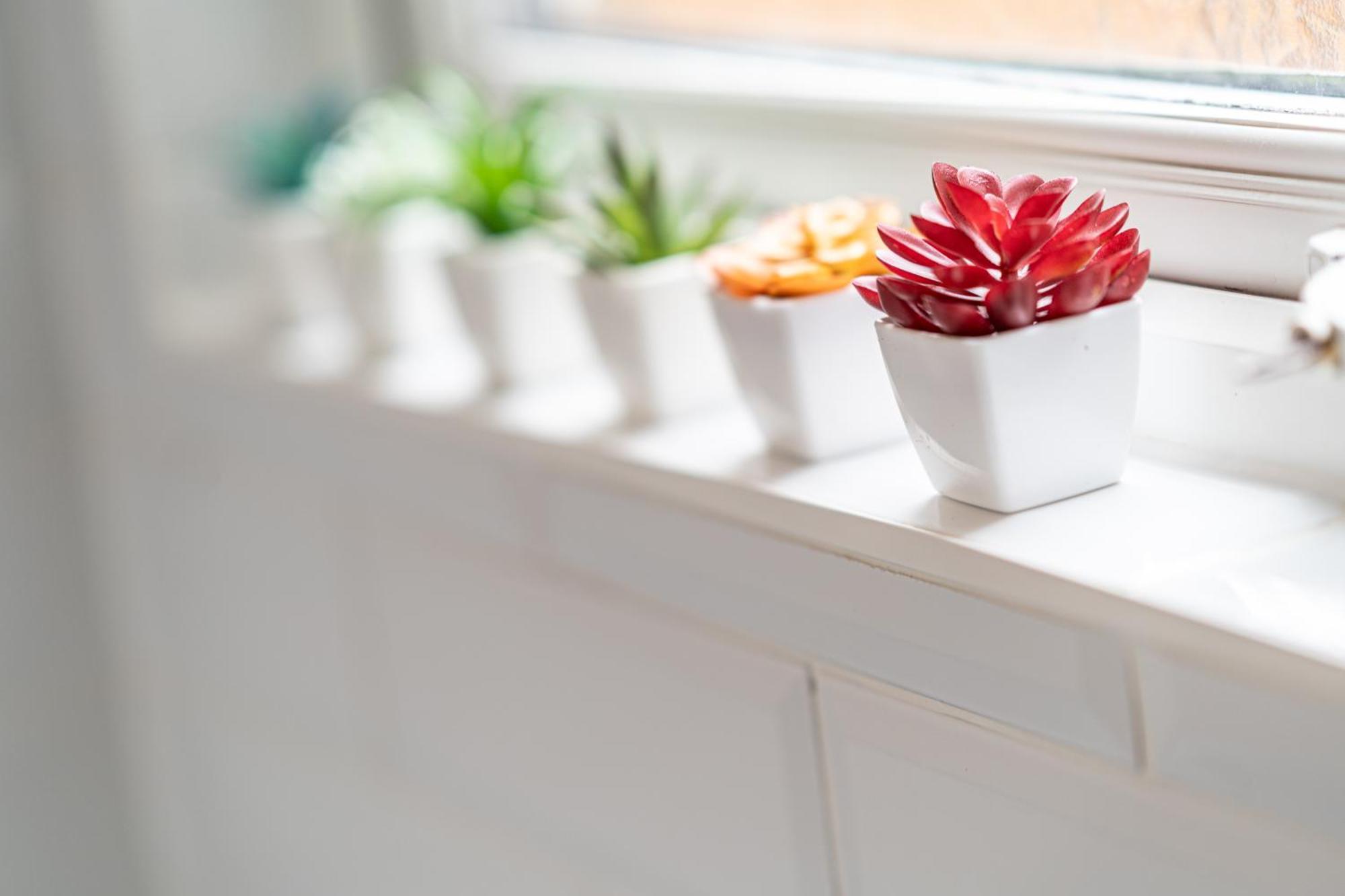 Beautiful 2 Bedroom With Private Garden In Wimbledon - Minutes From Central ロンドン エクステリア 写真